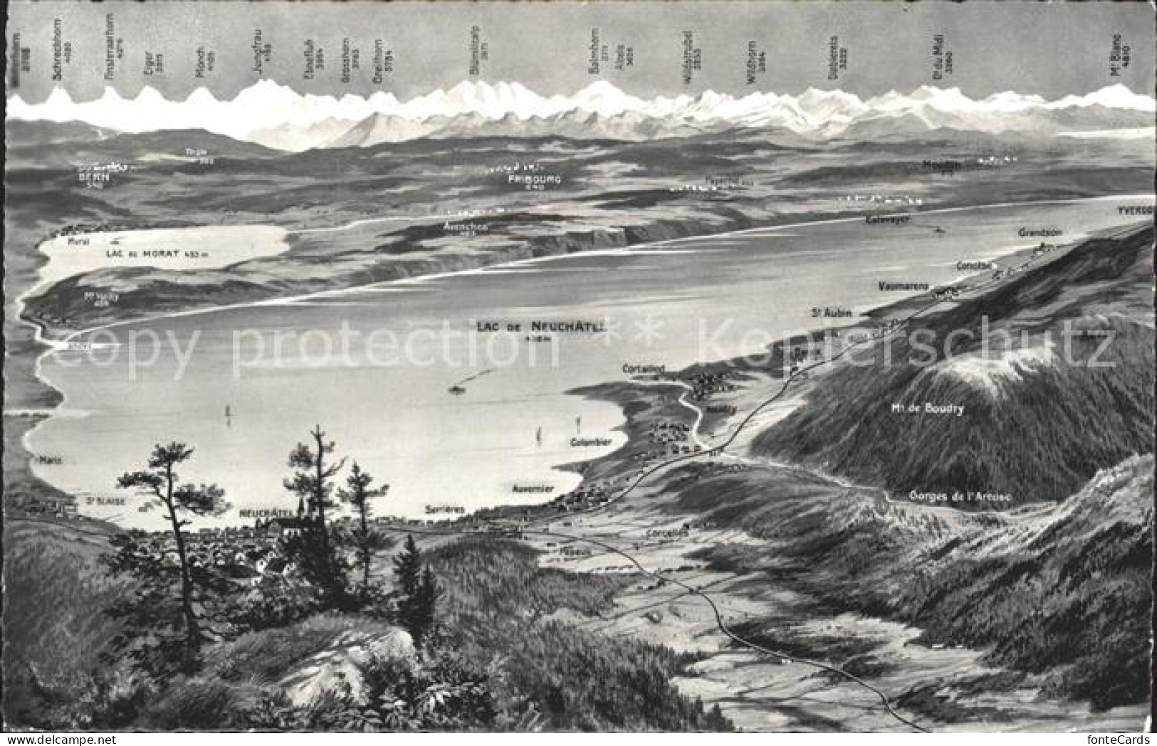 11818310 Neuchatel NE Panoramakarte Lac De Neuchatel Neuchatel - Autres & Non Classés