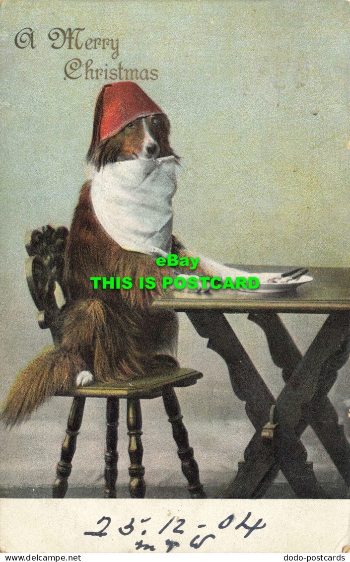 R590053 A Merry Christmas. The Dog In A Hat Sits At The Table. H. M. Series No. - World