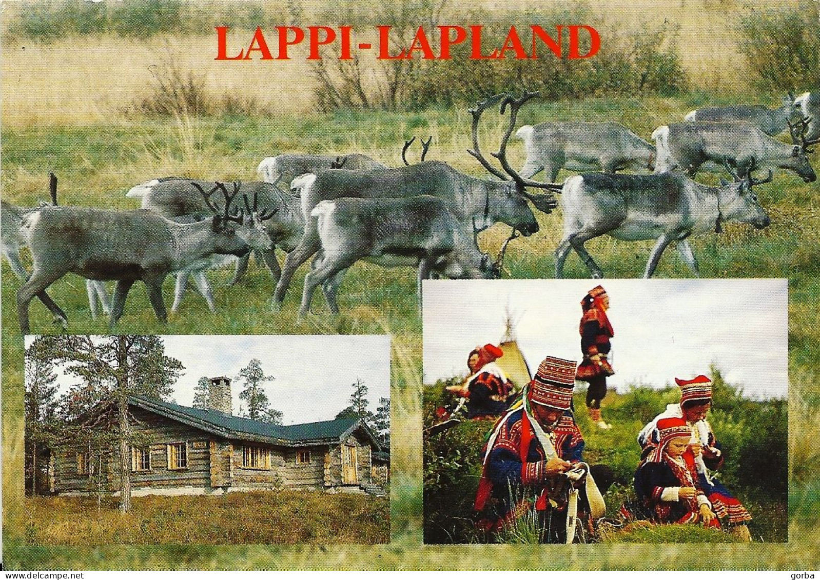 *CPM  - FINLANDE - LAPPI-LAPLAND - Rennes, Chalet, Costumes Traditionnels - Finland