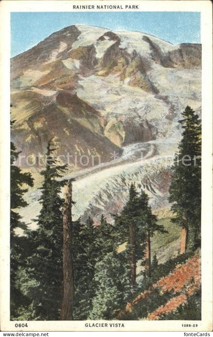 11807099 Washington_US-State Mount Rainier National Park Glacier Vista  - Autres & Non Classés