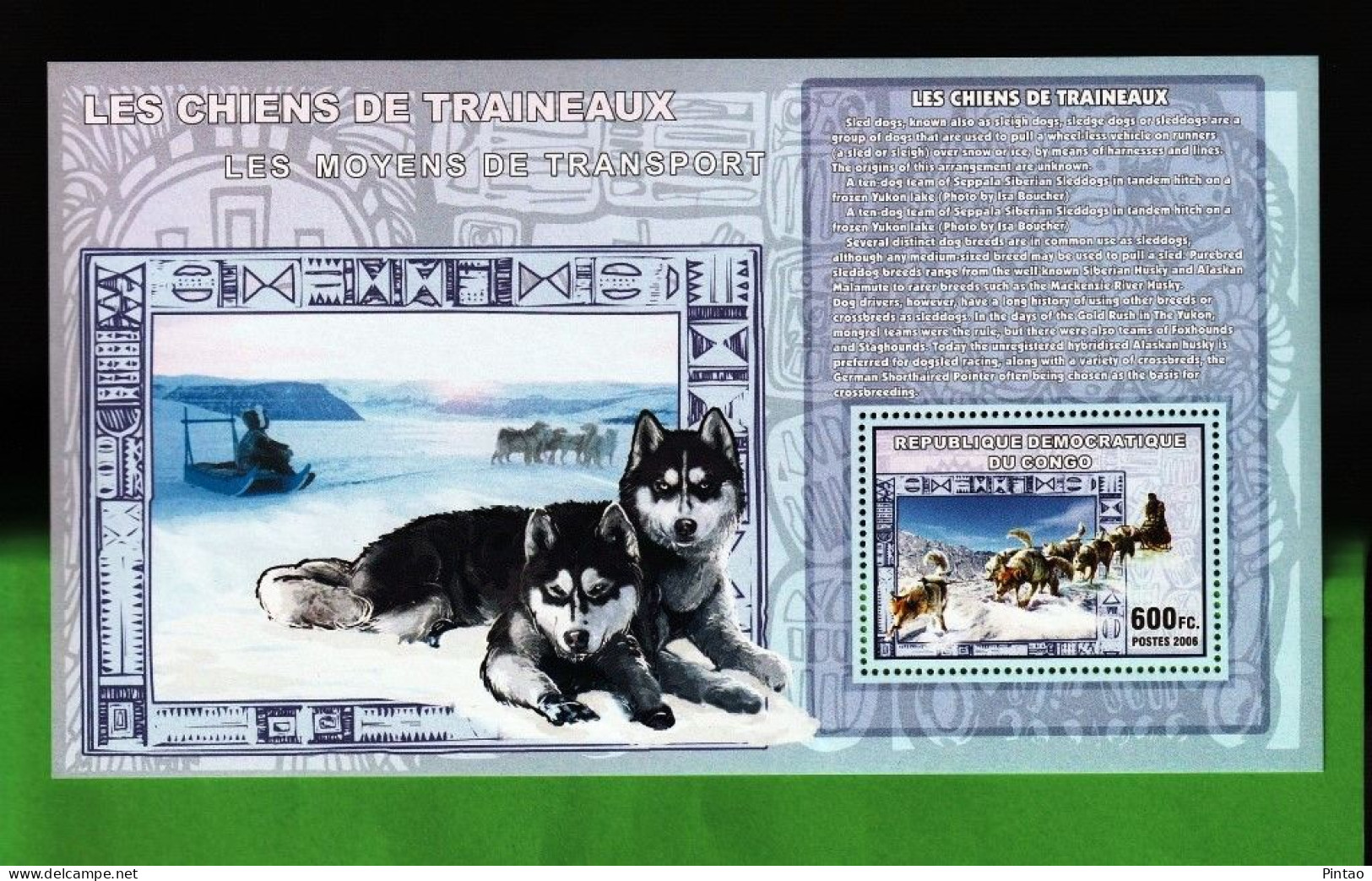 WW14444- CONGO 2006- MNH (CÃES) - Dogs