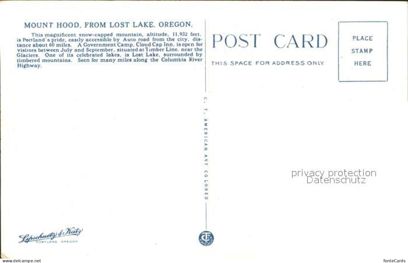 11807036 Oregon_US-State Mount Hood Lost Lake  - Autres & Non Classés