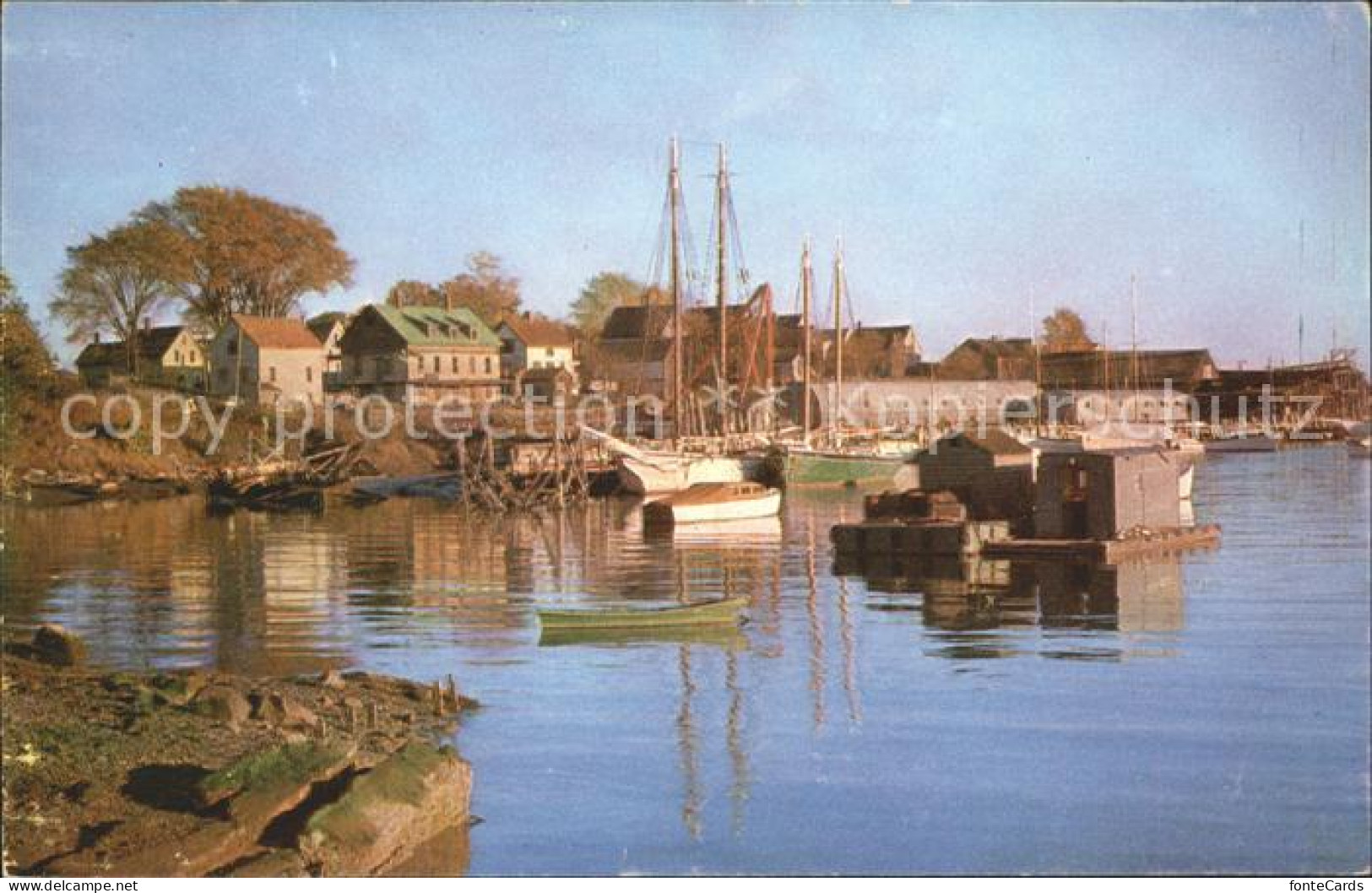 11806997 Camden_Maine Hafen Segelboote - Other & Unclassified