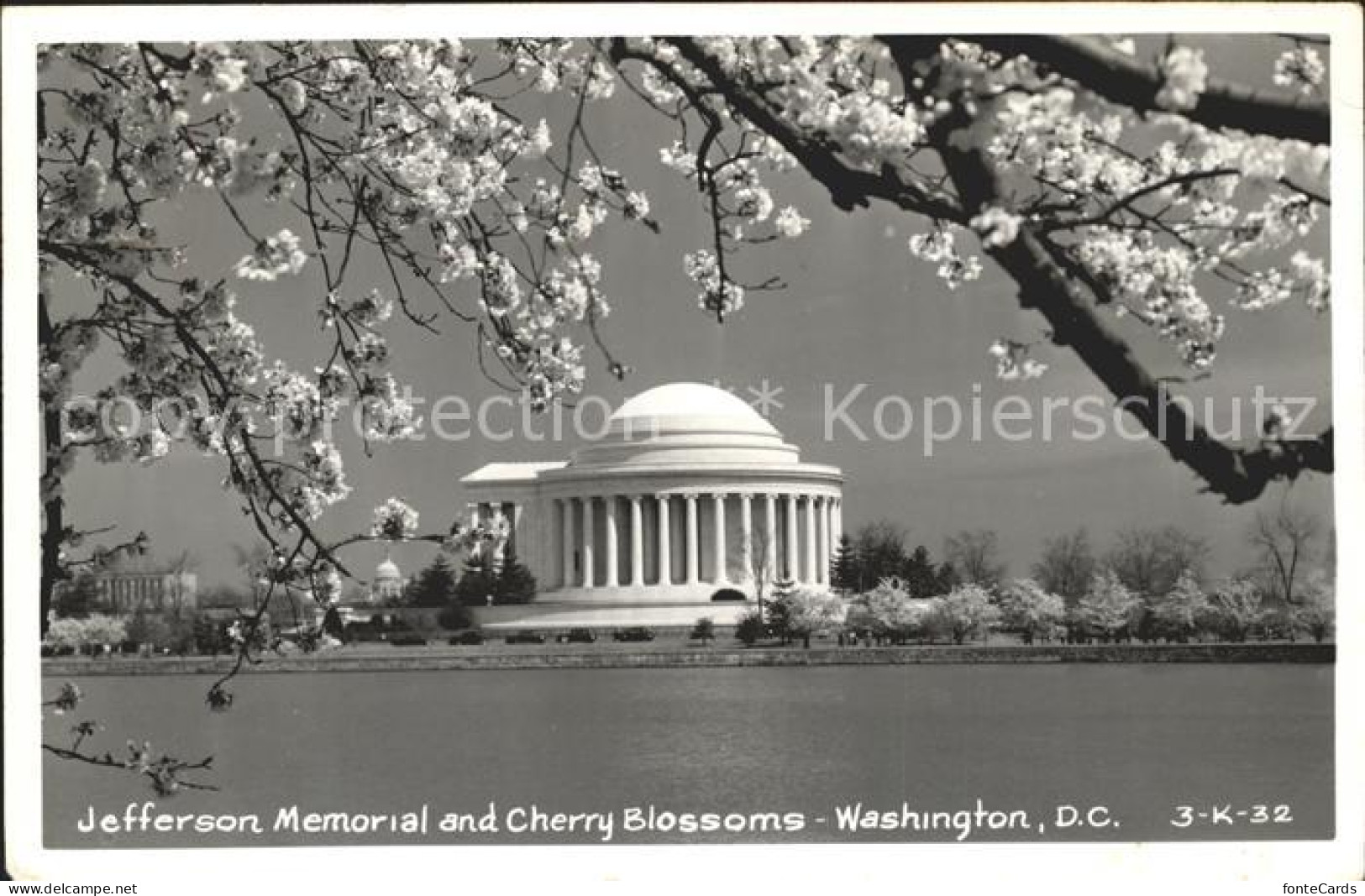 11806784 Washington DC Jefferson Memorial Cherry Blossoms  - Washington DC