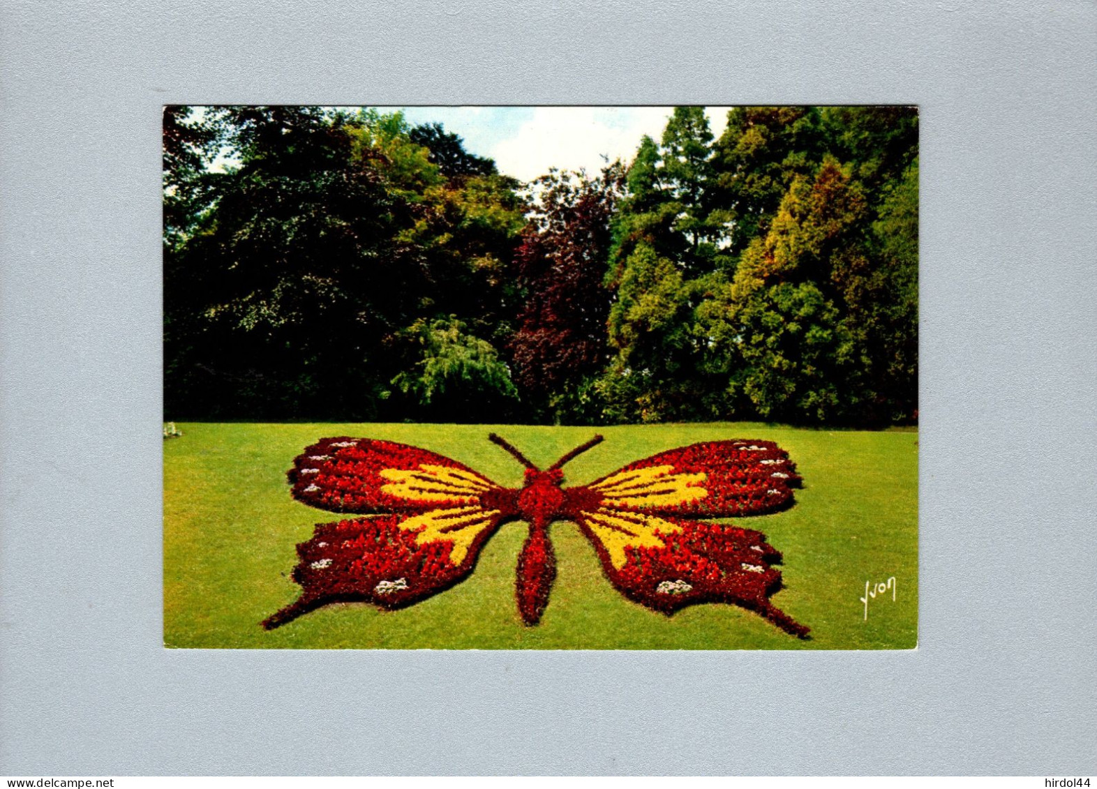 Cambrai (59) : Papillon Fleuri Du Grand Jardin - Cambrai