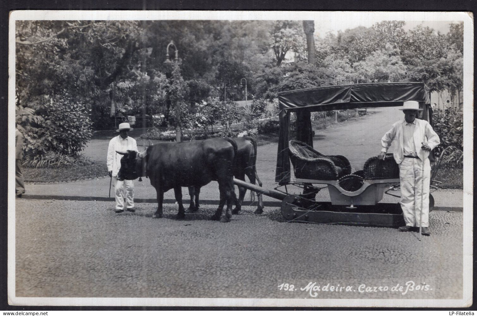 Portugal - Circa 1922 - Madeira - Carro De Bois - Madeira