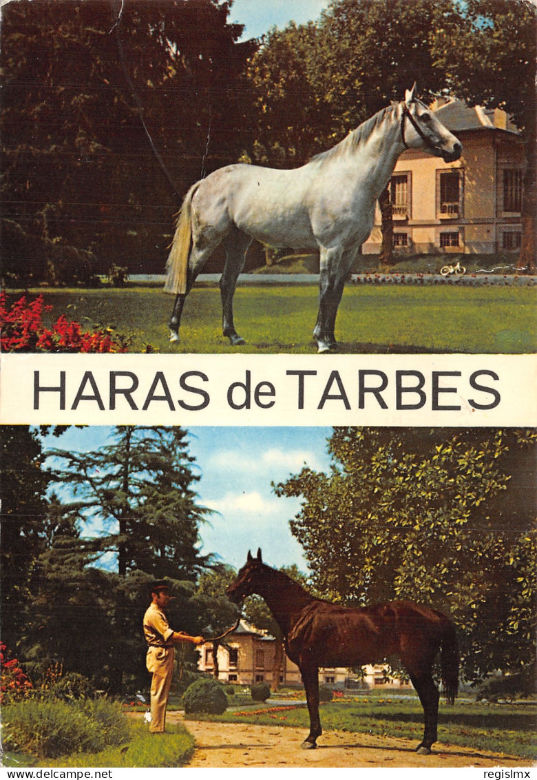 65-TARBES-N°2109-C/0175 - Tarbes
