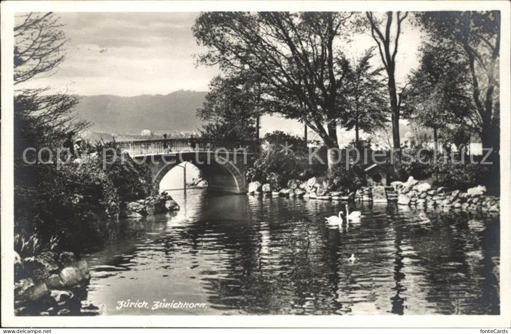 11778802 Zuerichhorn Panorama Bruecke  - Autres & Non Classés