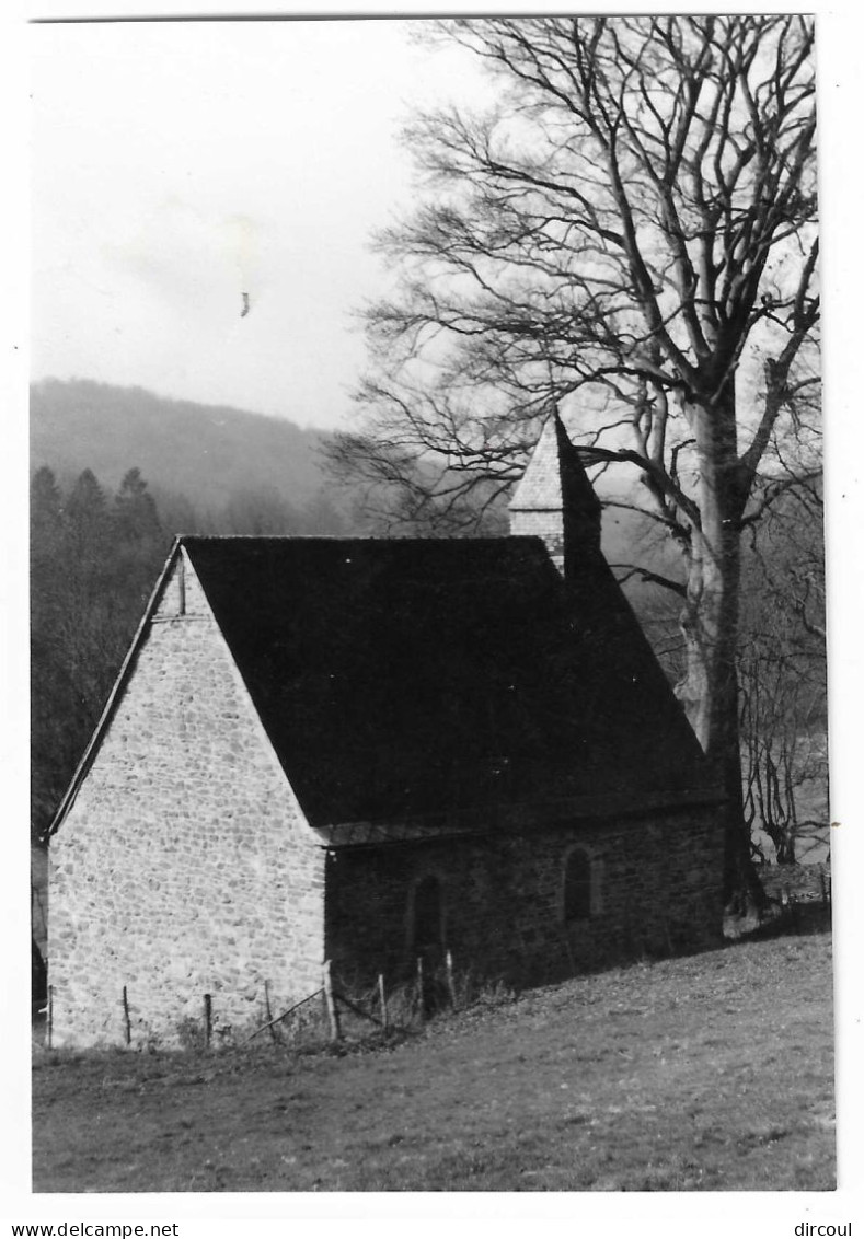 56305  Harzé Chapelle  Ste  Anne  Photo  Format Carte - Aywaille