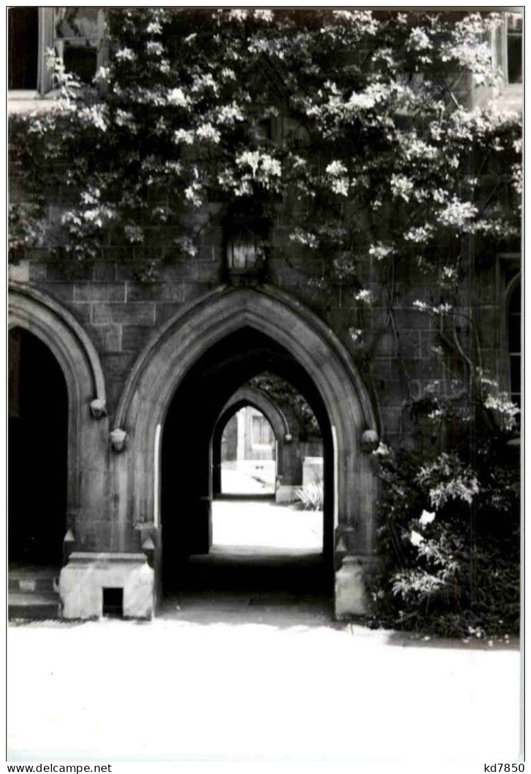Cambridge 1953 - Cambridge