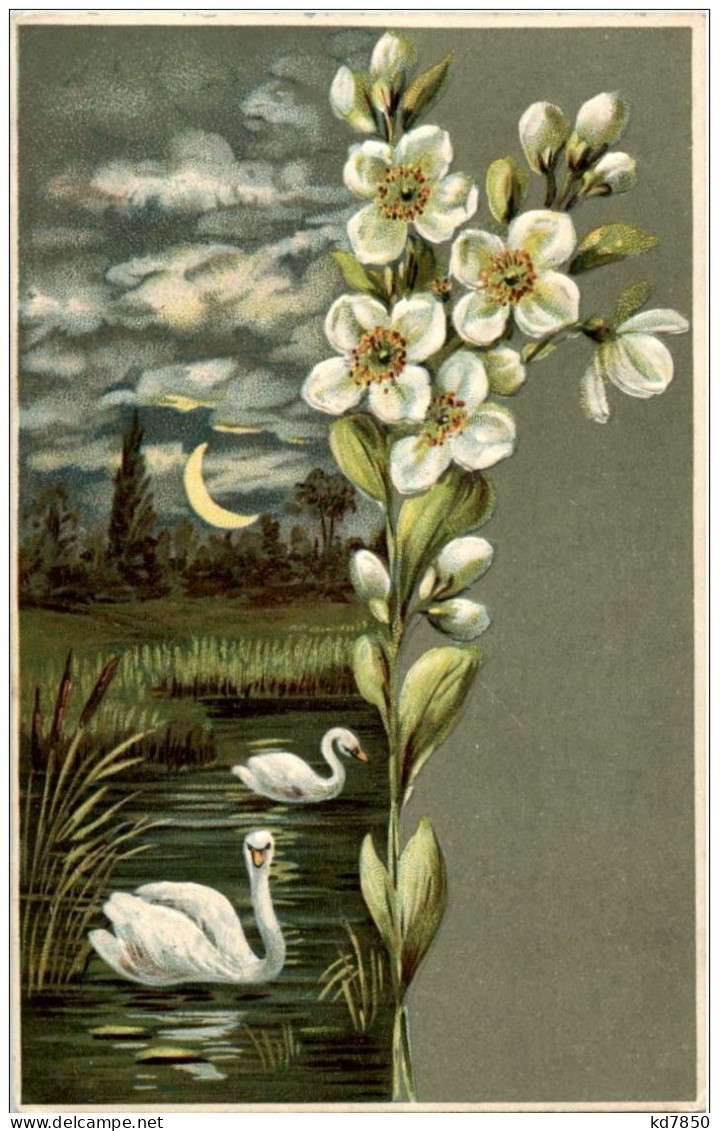 Schwan - Prägekarte - Birds