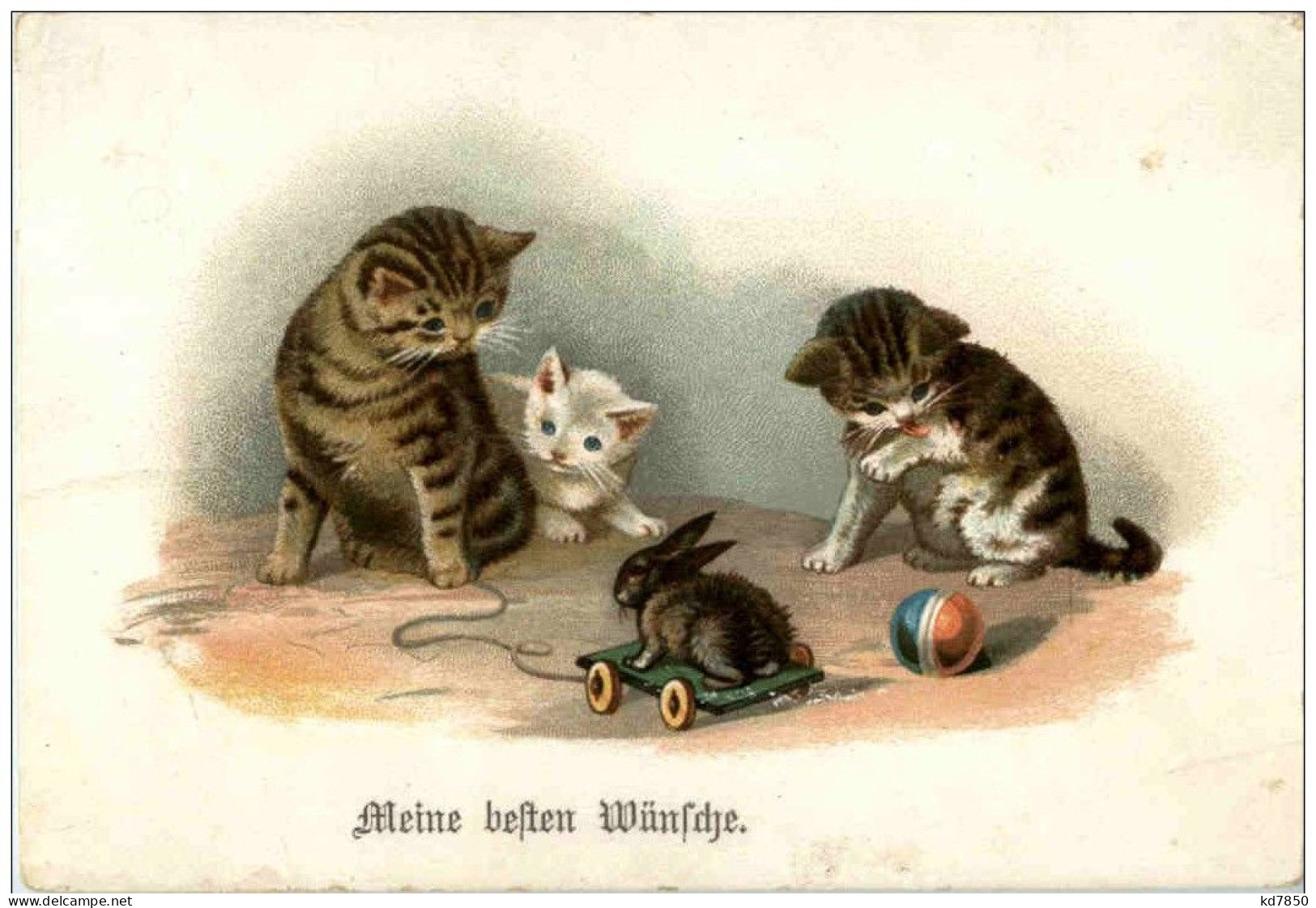 Katzen - Litho - Katzen
