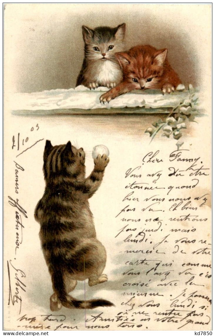 Katzen - Litho - Katzen