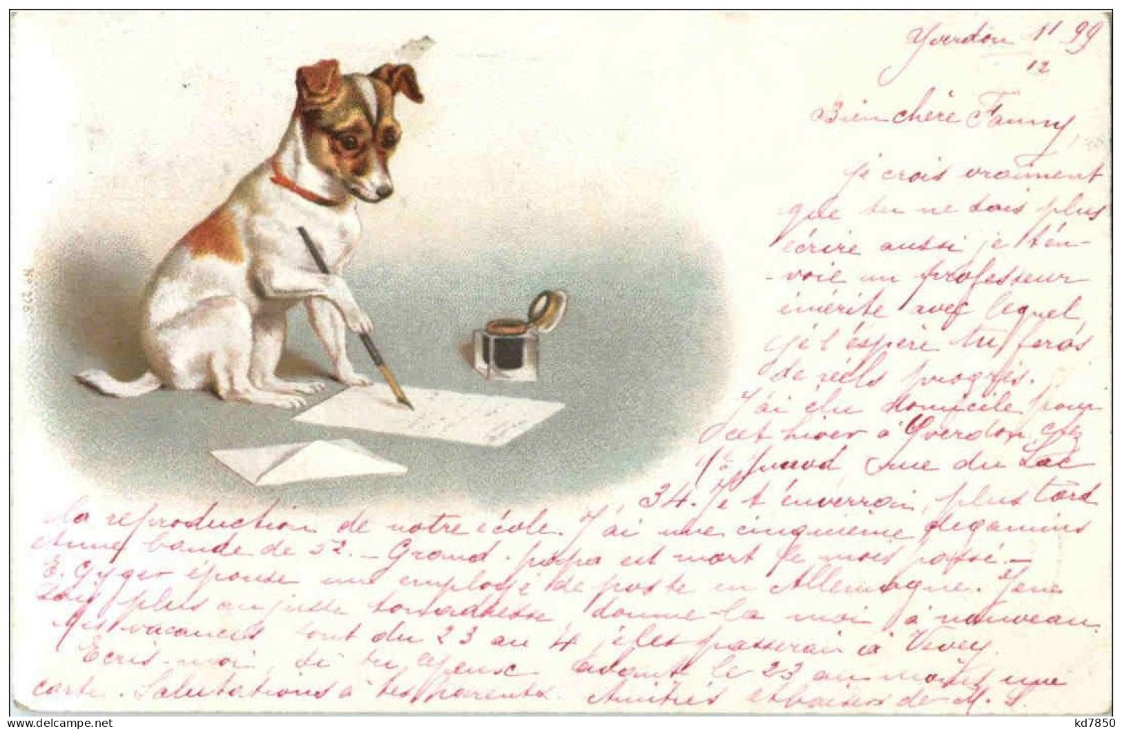 Hund - Litho - Honden