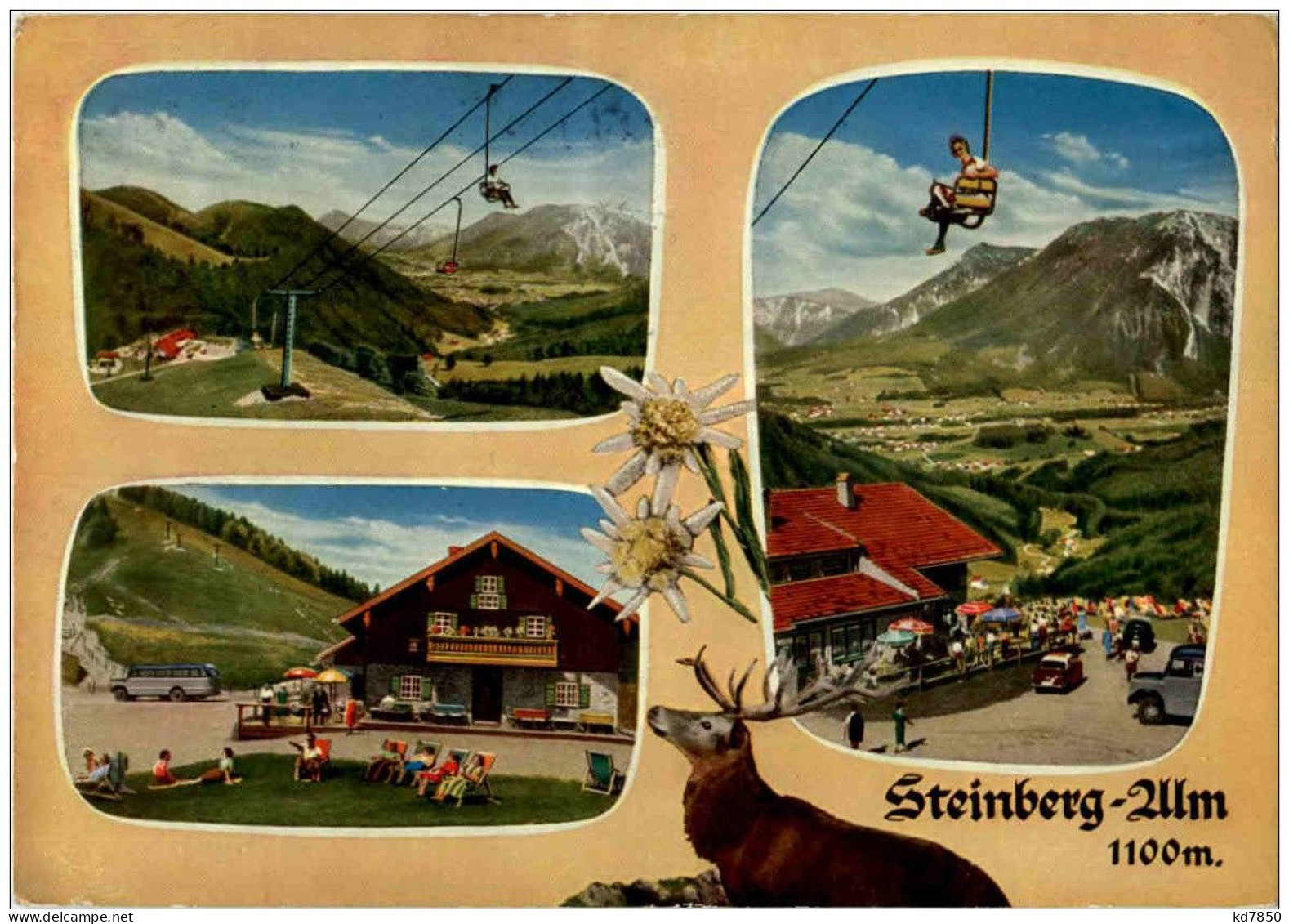 Ruhpolding - Steinberg Alm - Ruhpolding