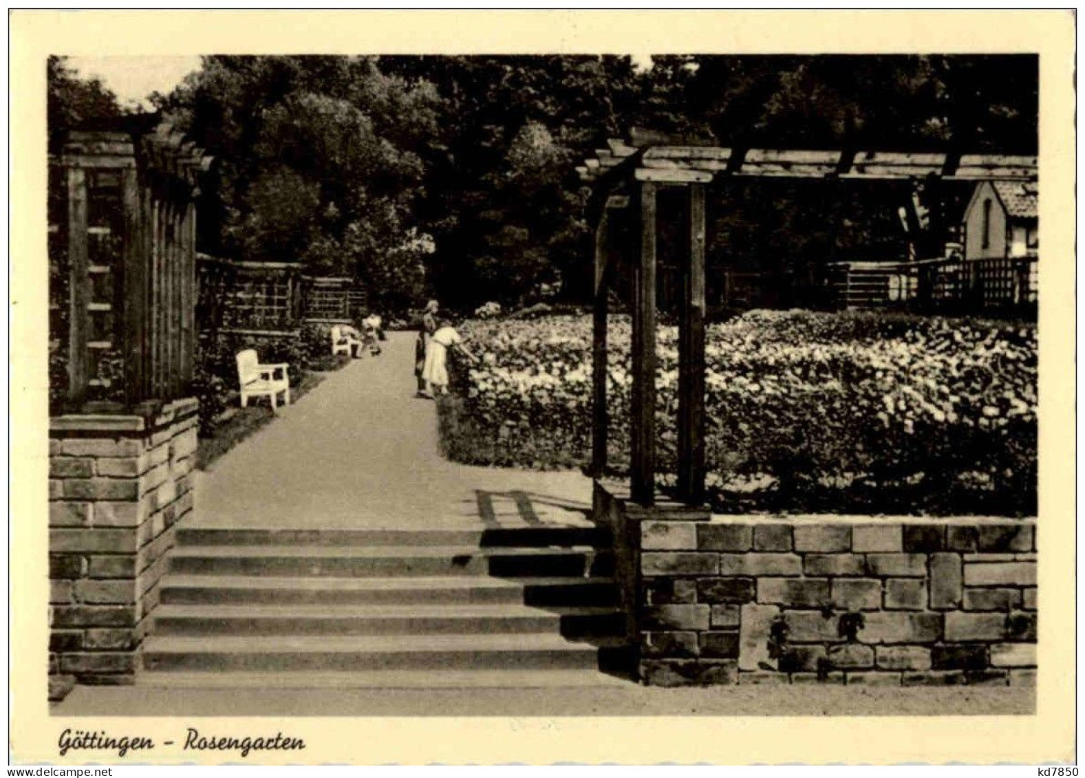 Göttingen - Rosengarten - Goettingen