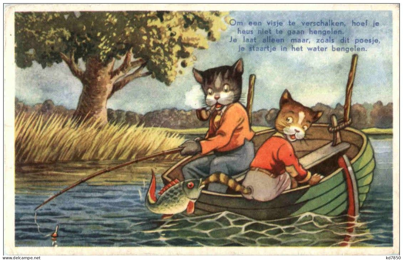 KAtzen - Fishing - Katzen