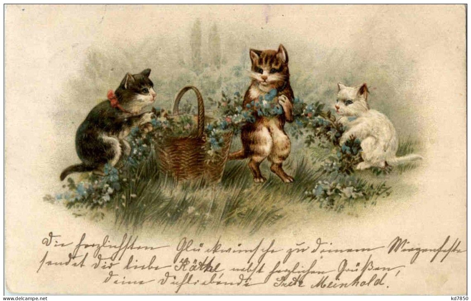 Katzen - Litho - Katzen