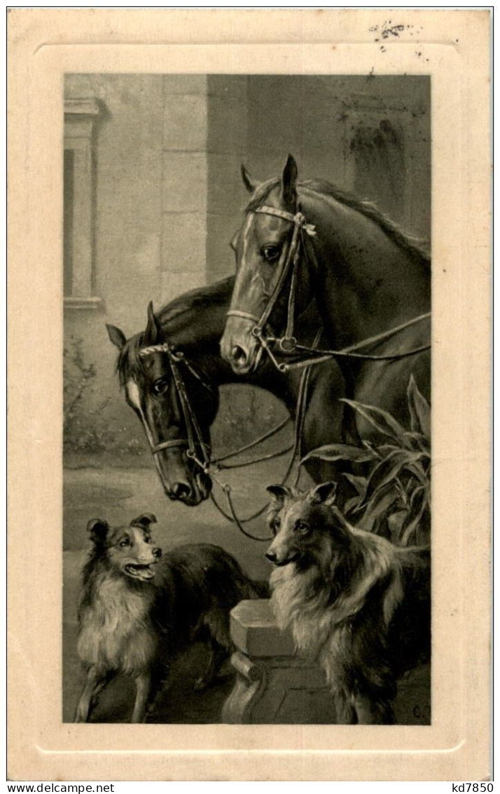 Horse And Dog - Honden