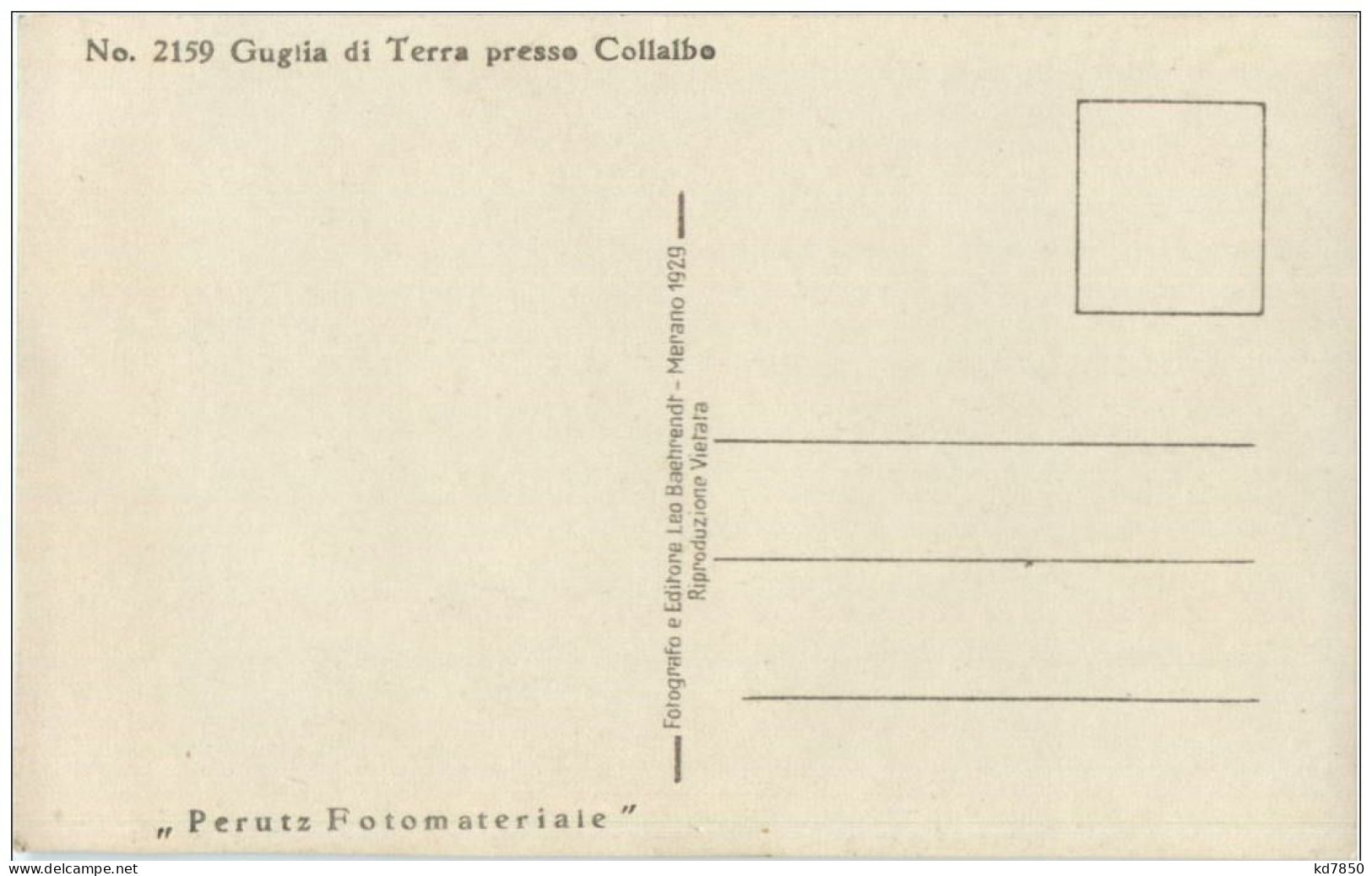 Guglia Di Terra Presso Collalbo - Other & Unclassified