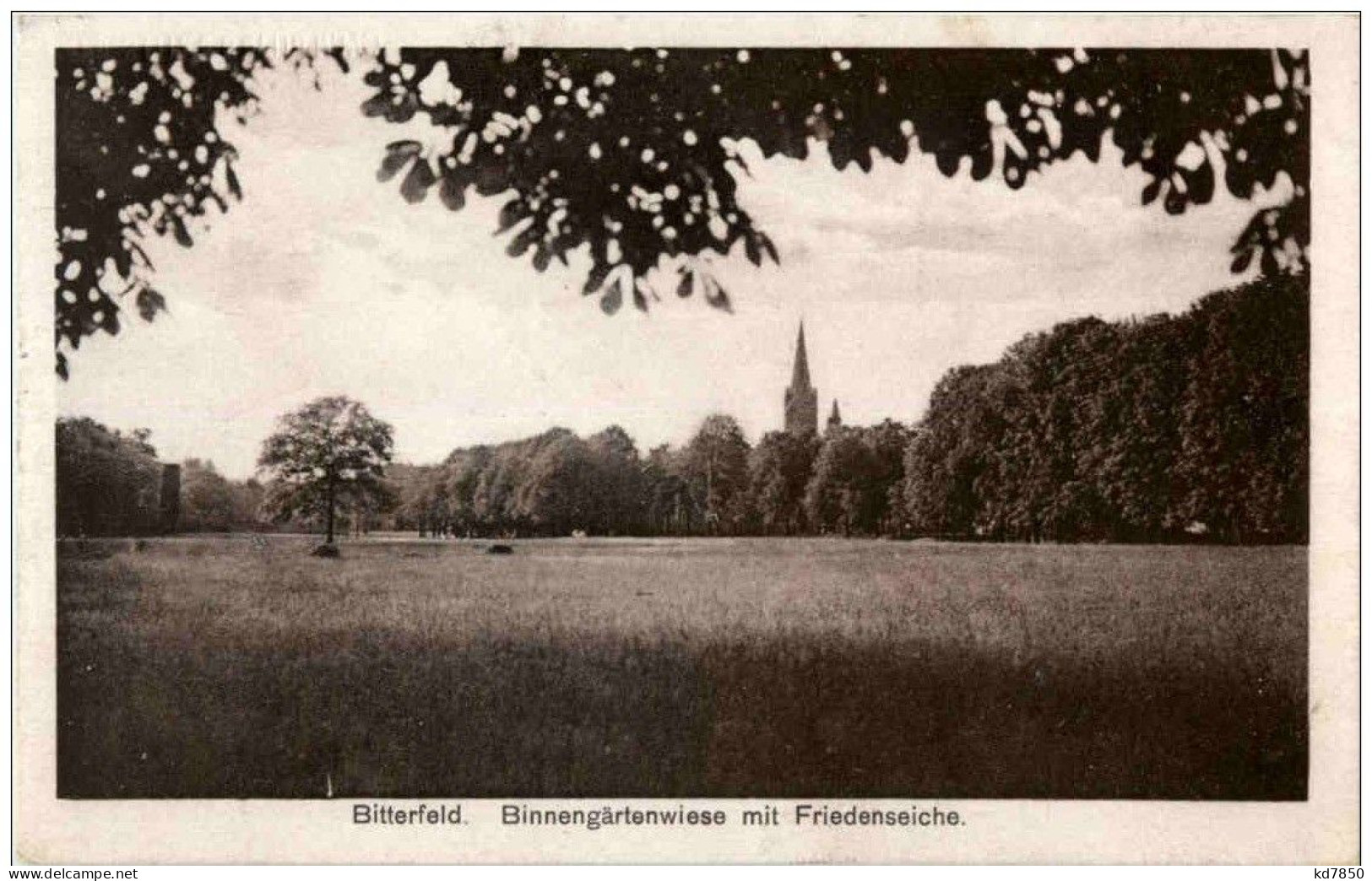 Bitterfeld - Binnengärtenwiese - Bitterfeld