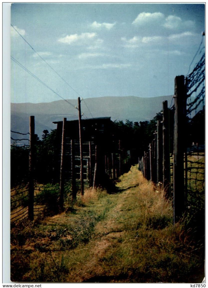 Camp De Deportation De Natzwiller Struthof - War 1939-45