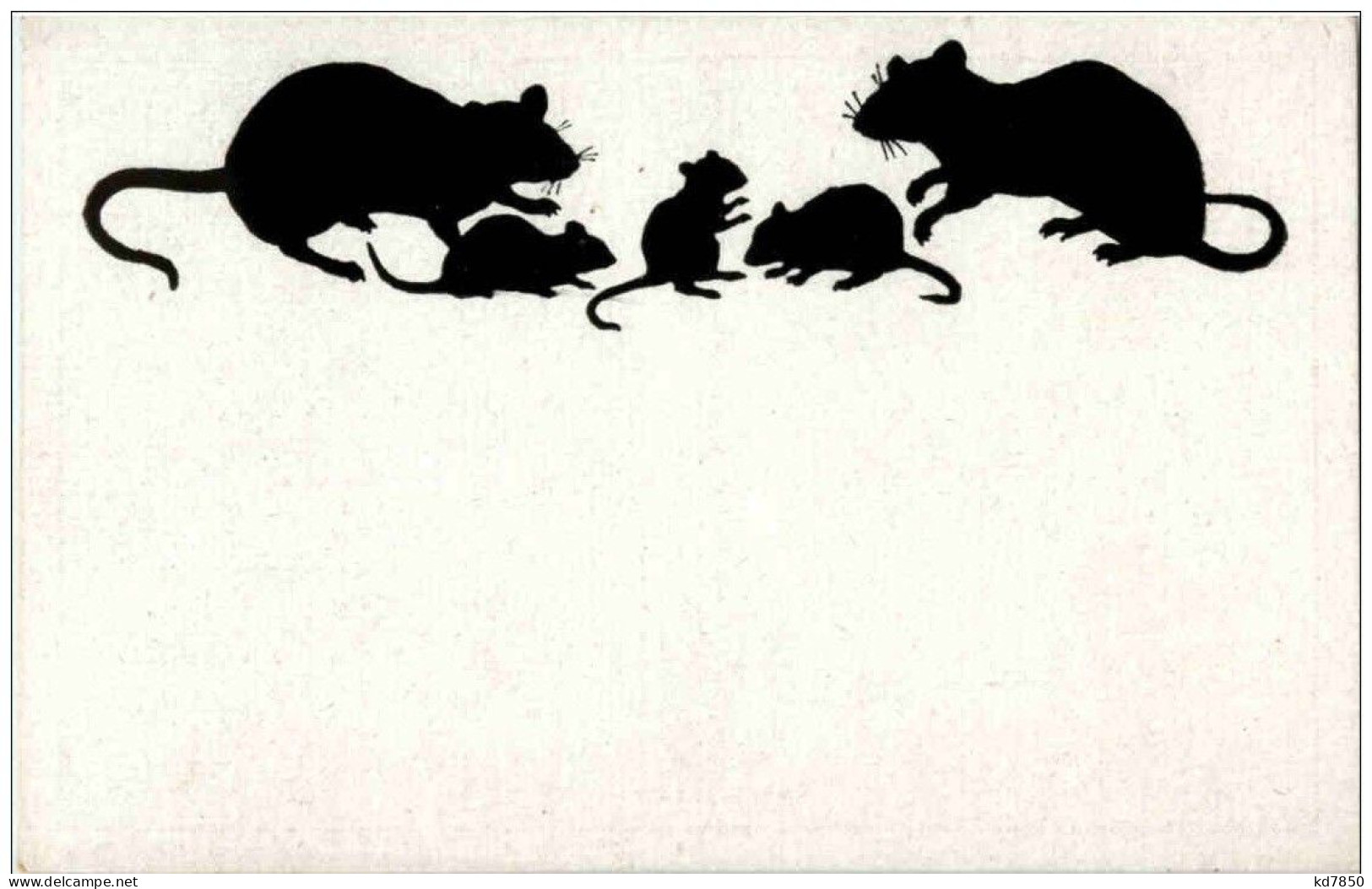 Mouse - Maus - Sonstige & Ohne Zuordnung