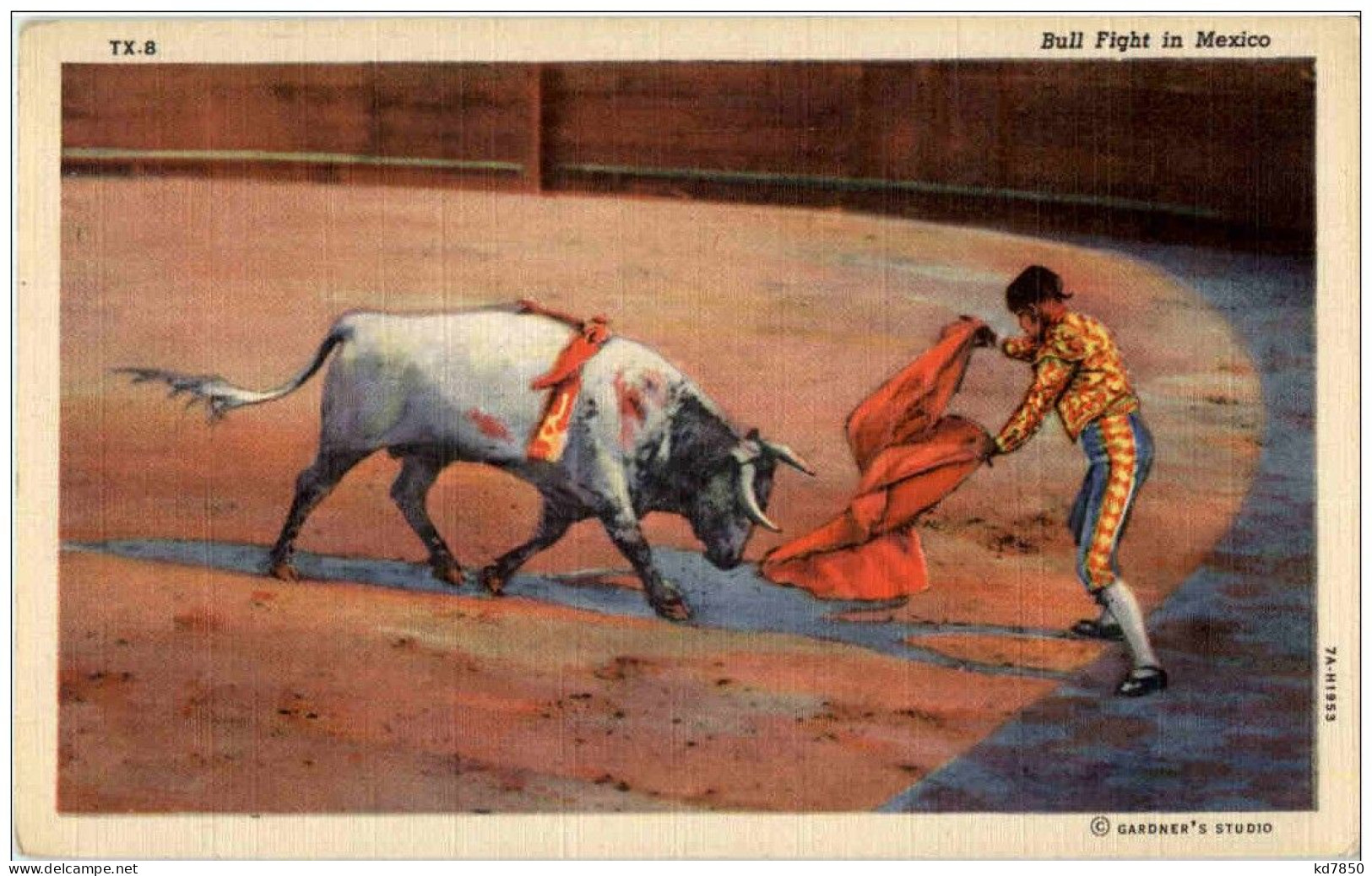 Mexico - Bullfight - Mexico