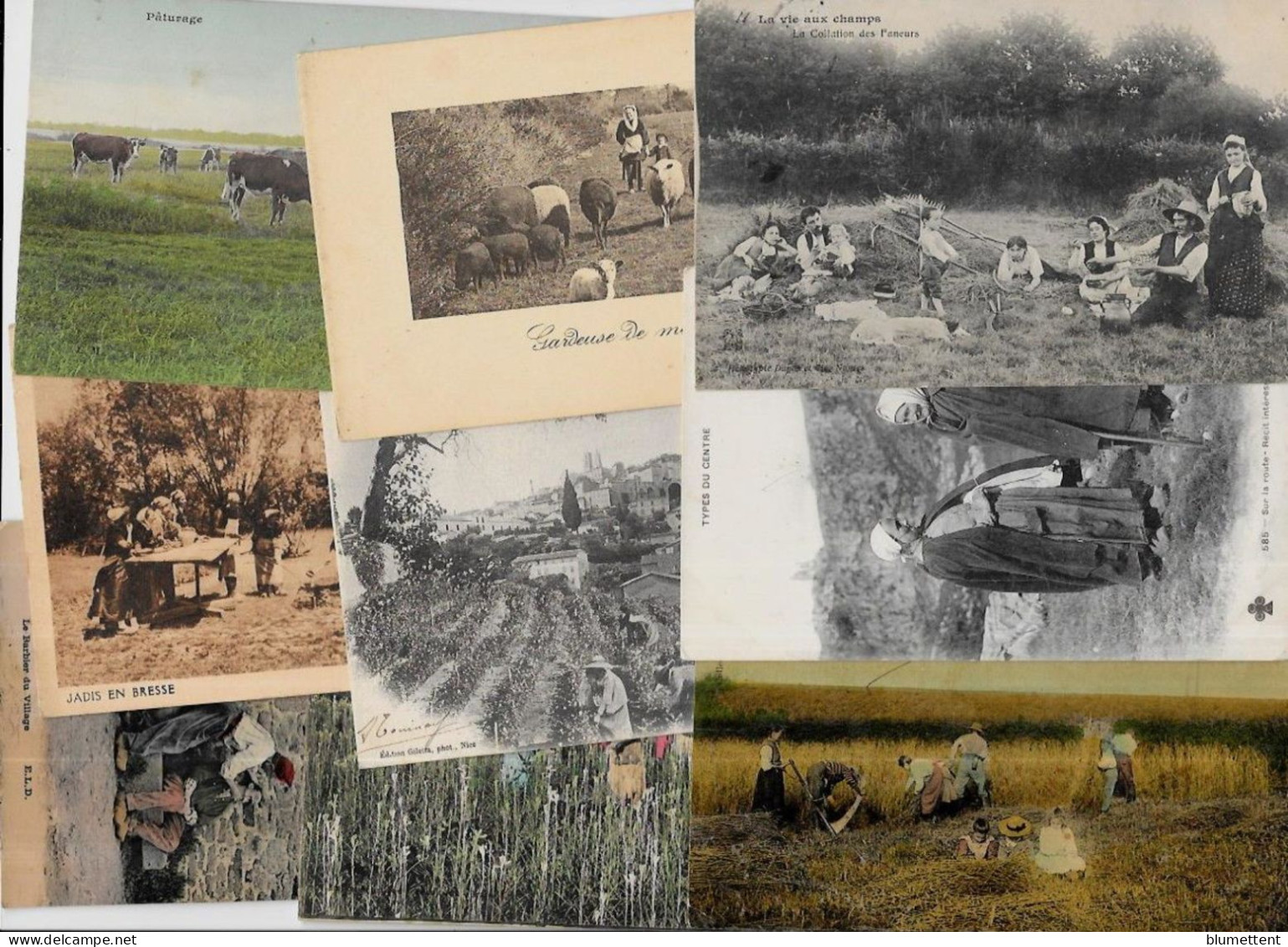 Lot 254 De 10 CPA Divers Métier Campagne Ferme Folklore Déstockage Pour Revendeurs Ou Collectionneurs - 5 - 99 Postcards