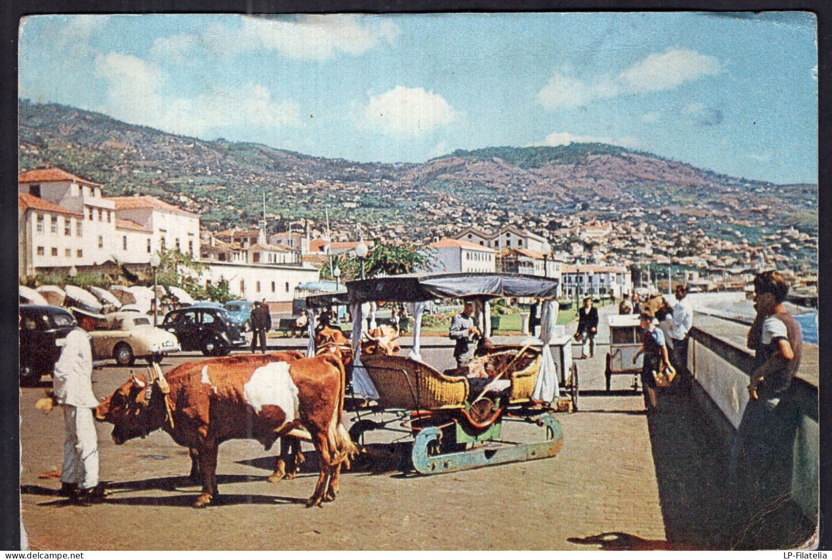 Portugal - Circa 1940 - Madeira - Funchal - Madeira