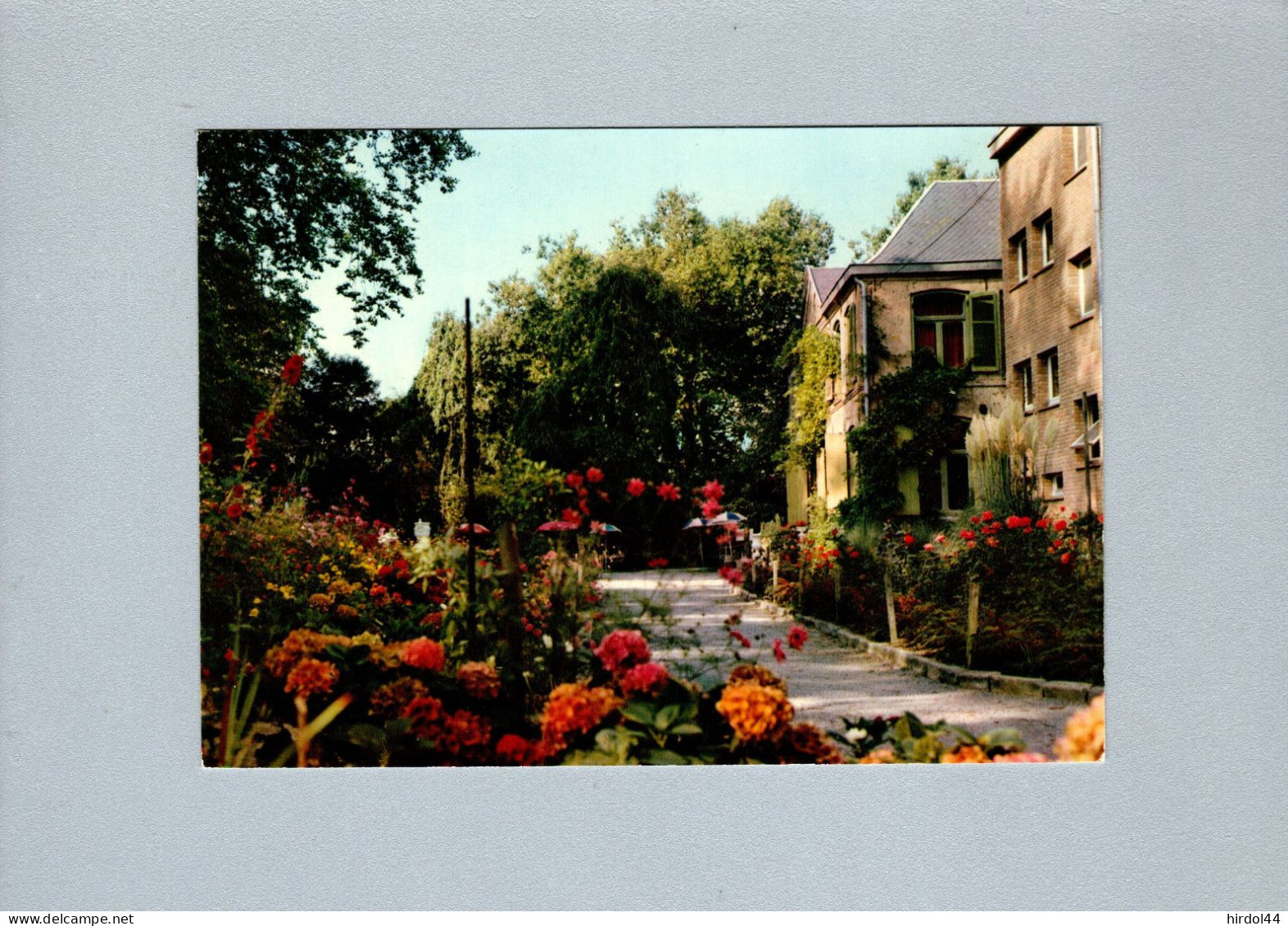 Hondshoote (59) : Le Foyer Du Groenhof - Son Jardin Fleuri, à L'automne - Hondshoote