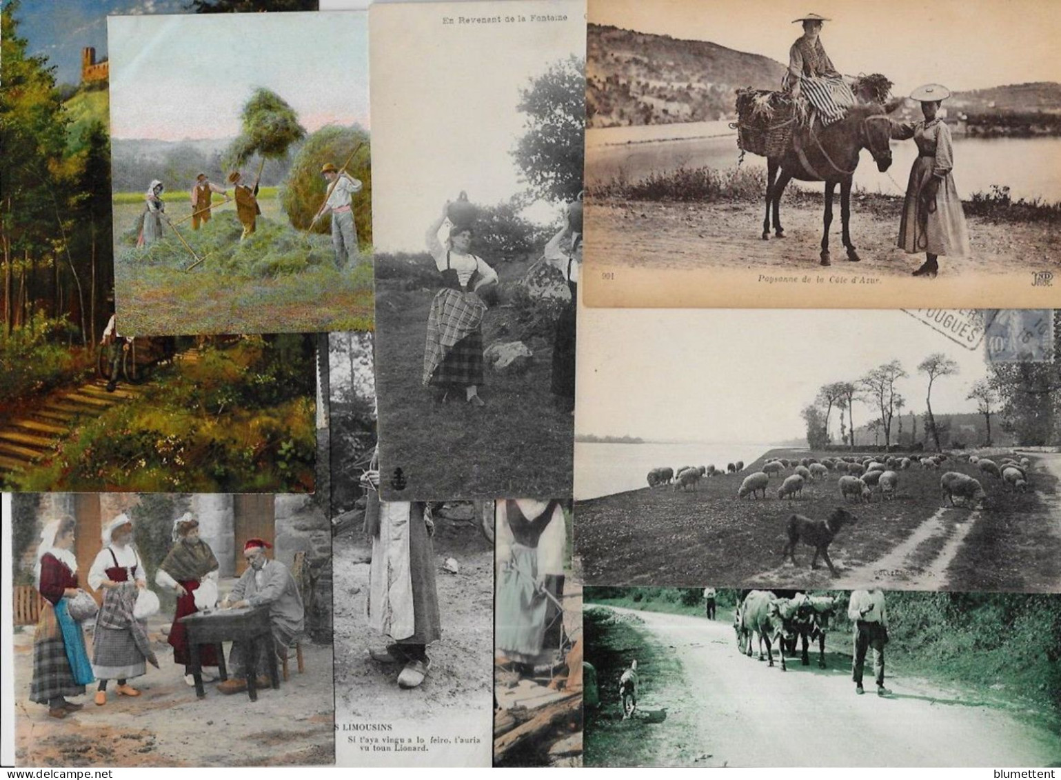 Lot 295 De 10 CPA Divers Métier Campagne Ferme Folklore Déstockage Pour Revendeurs Ou Collectionneurs - 5 - 99 Postcards