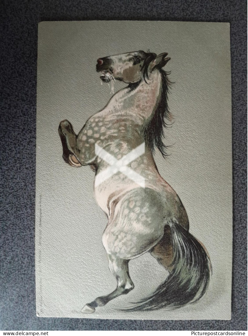 GREY WHITE HORSE EMBOSSED EARLY TUCK ART POSTCARD SERIES NO. 882 ANIMALS - Horses