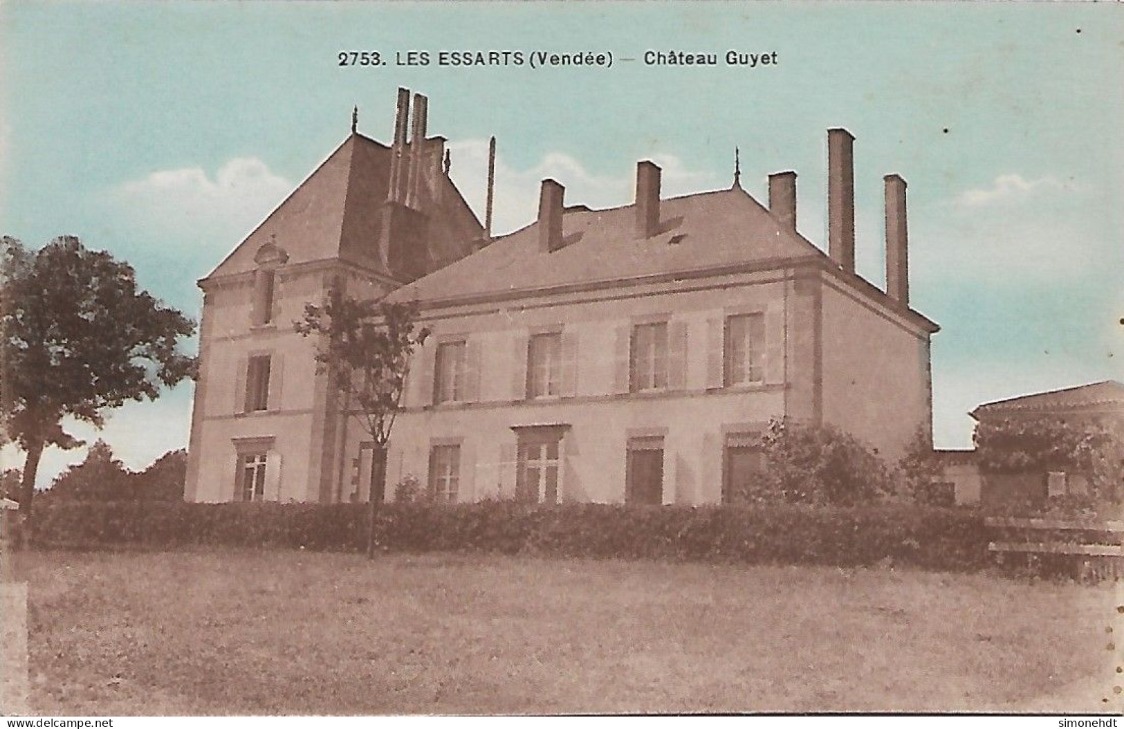 LES ESSARTS - Chateau Guyet - Cliché Peu Courant - Les Essarts
