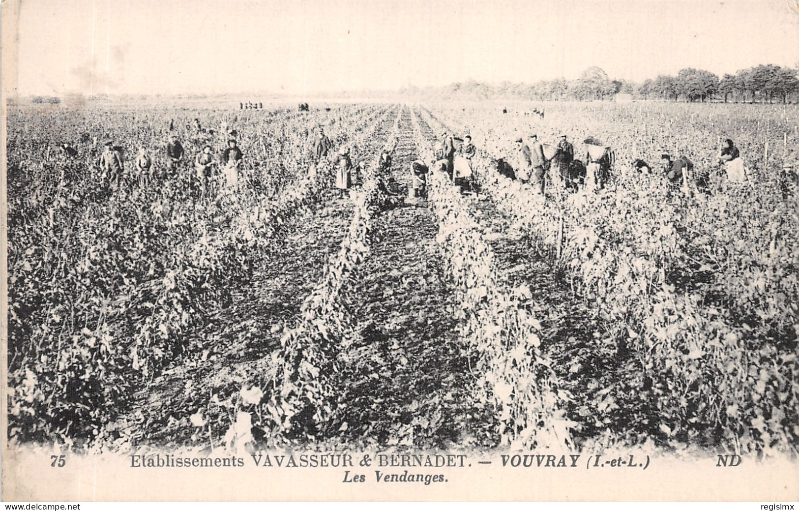 37-VOUVRAY -N°2123-E/0207 - Vouvray