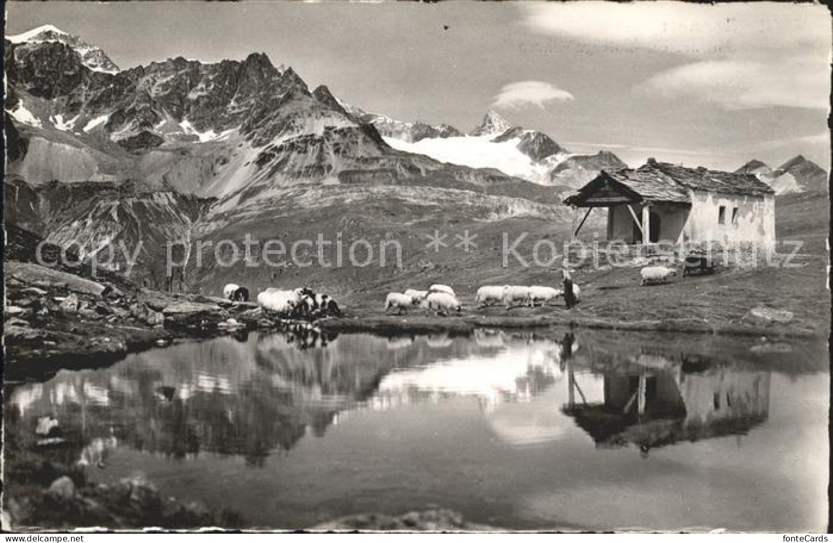 11777088 Zermatt VS Schwarzsee Untergabelhorn  - Sonstige & Ohne Zuordnung