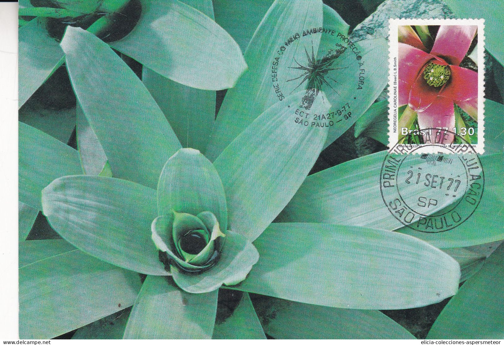 Brasil - 1977 - FDC - Environmental Defense - Protection Of Flora Series - Caja 30 - São Paulo