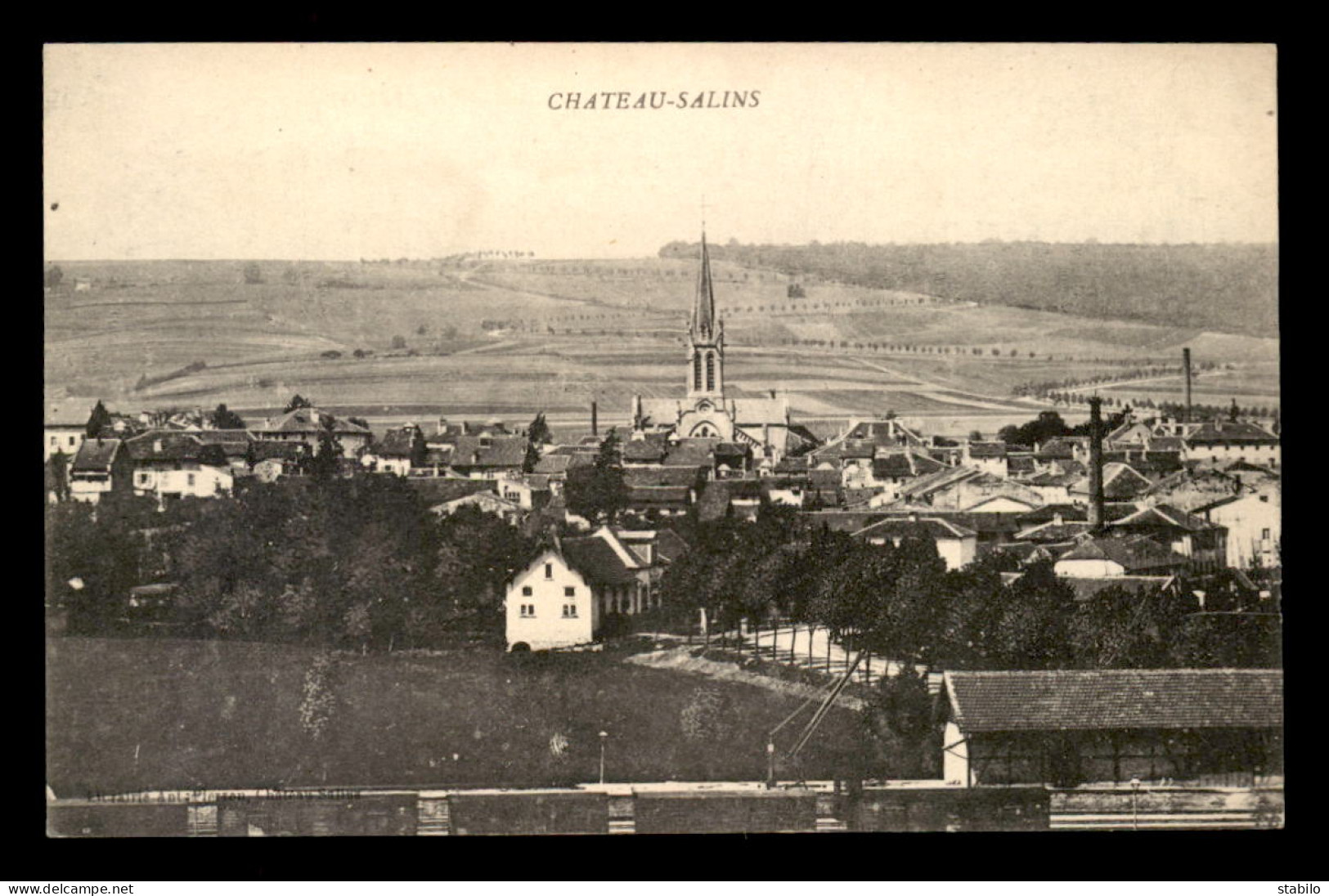 57 - CHATEAU-SALINS - VUE GENERALE - Chateau Salins