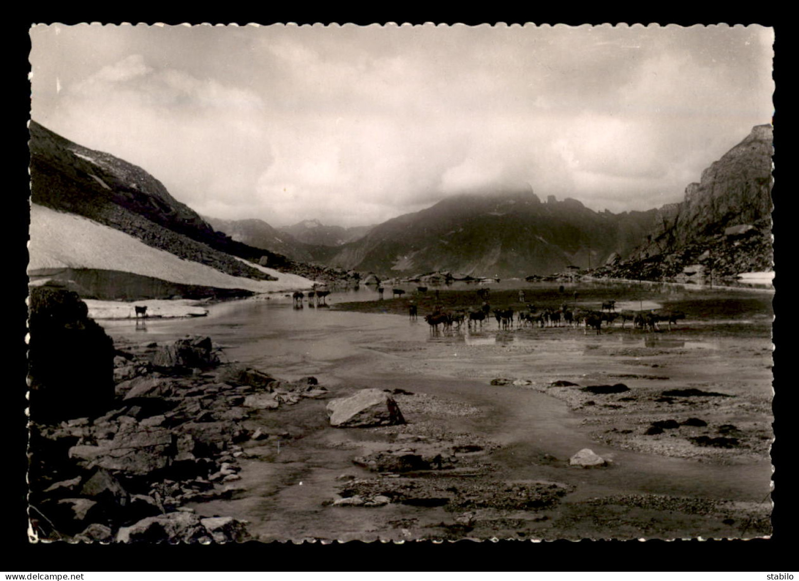 73 - PRALOGNAN - LE LAC DES VACHES - Pralognan-la-Vanoise