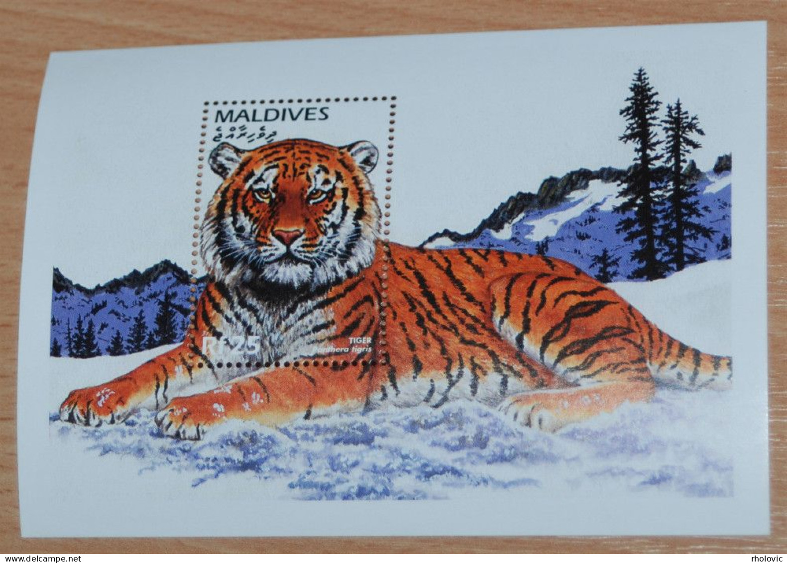MALDIVES 1996, Endangered Species, Tiger, Animals, Fauna, Mi #B372, Souvenir Sheet, MNH** - Roofkatten