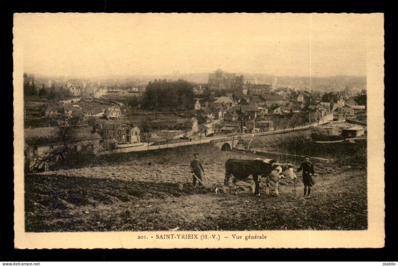 87 - ST-YRIEIX - VUE GENERALE - BOEUFS ATTELES AU TRAVAIL - Saint Yrieix La Perche