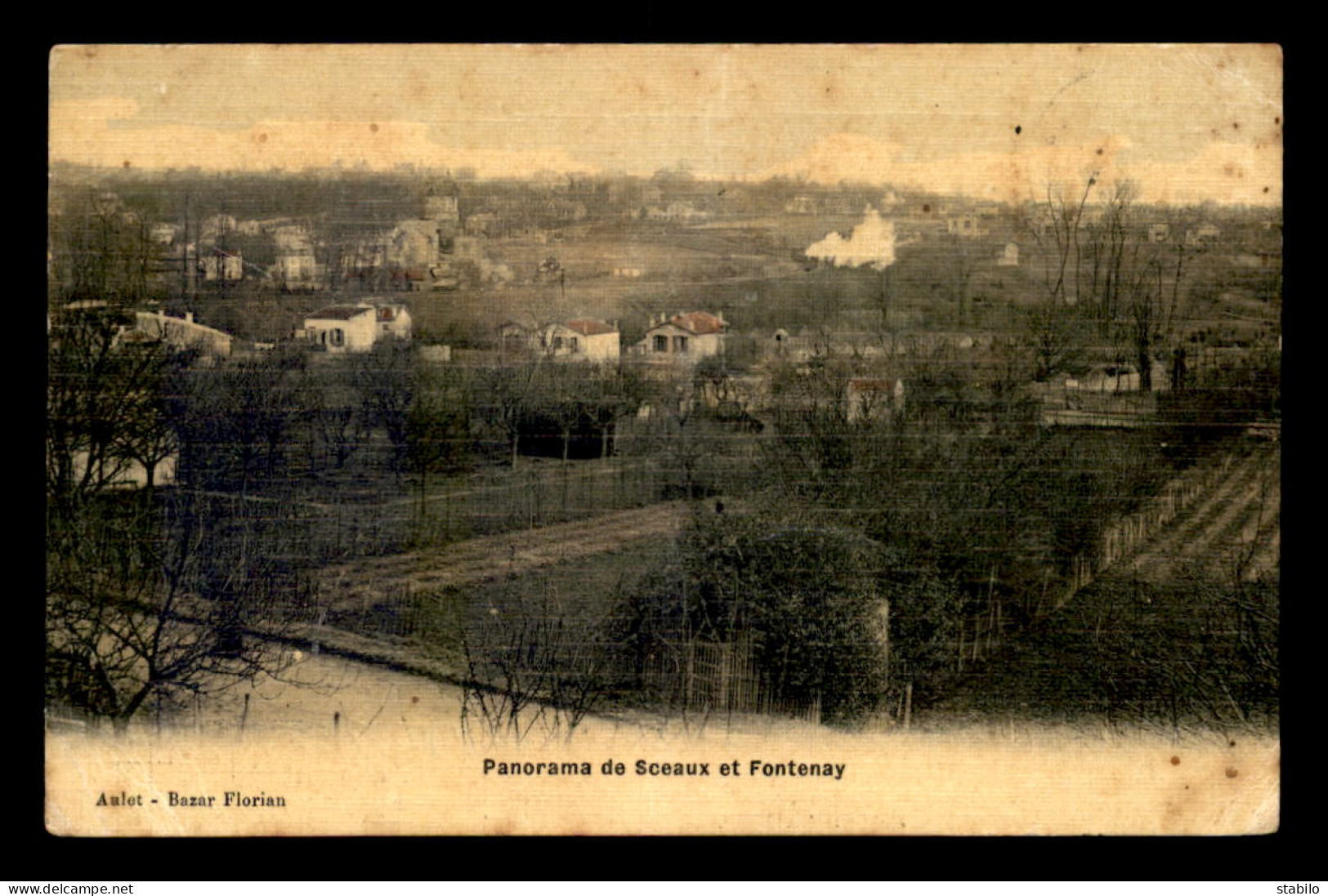 92 - SCEAUX -ET FONTENAY - PANORAMA - CARTE TOILEE ET COLORISEE - Sceaux