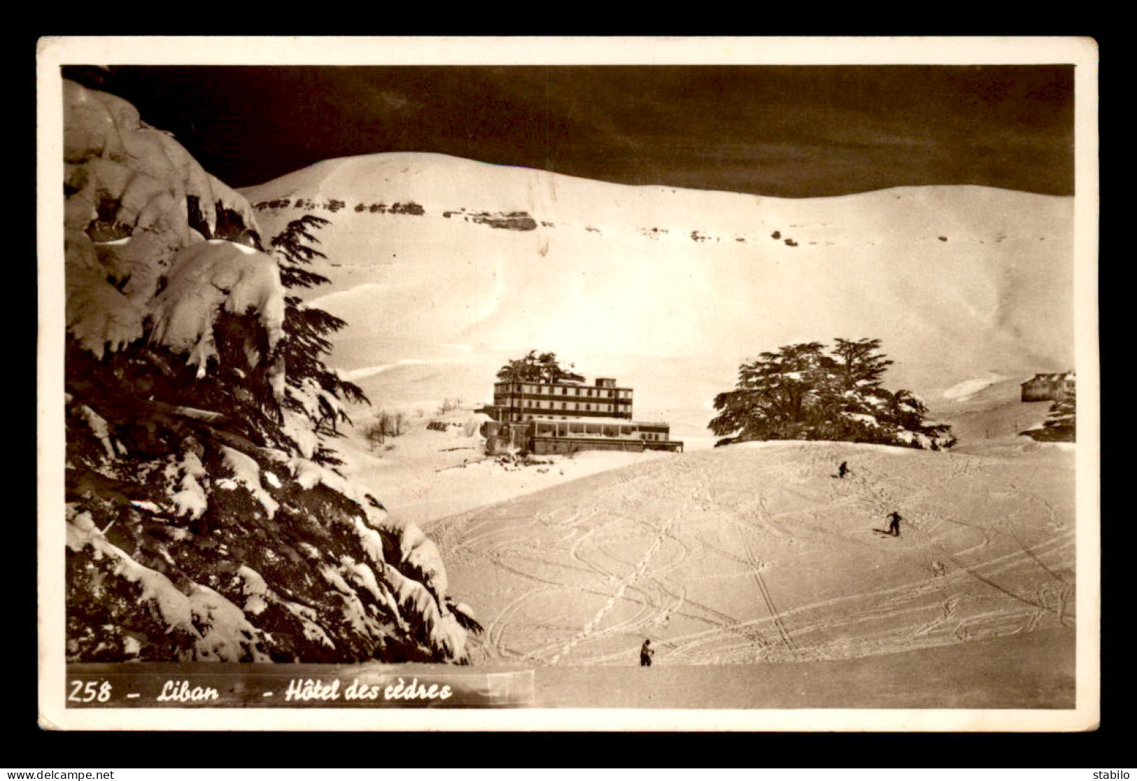 LIBAN - HOTEL DES CEDRES DANS LA NEIGE - Líbano