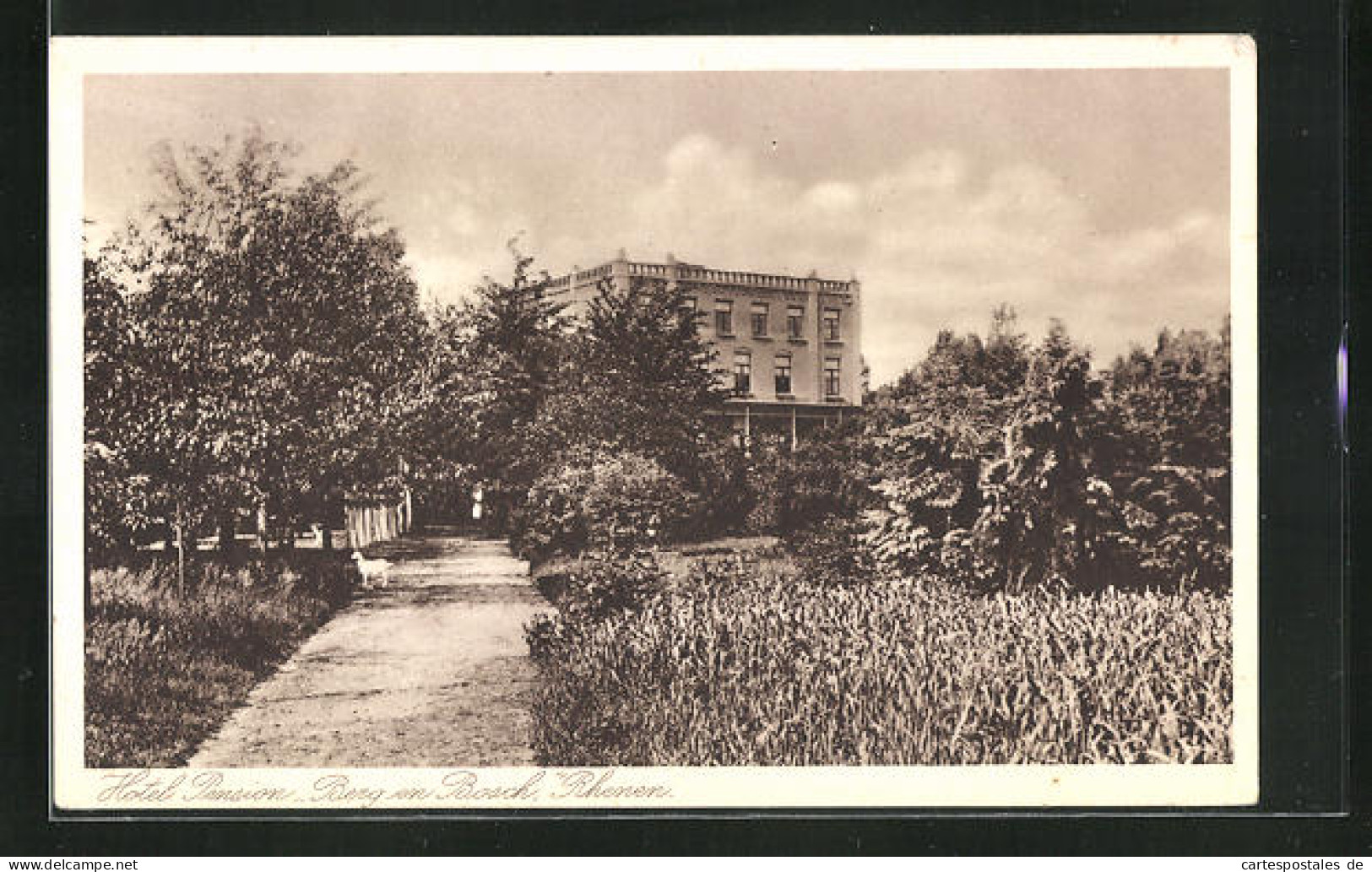 AK Rhenen, Hotel Pension Berg En Bosch  - Rhenen