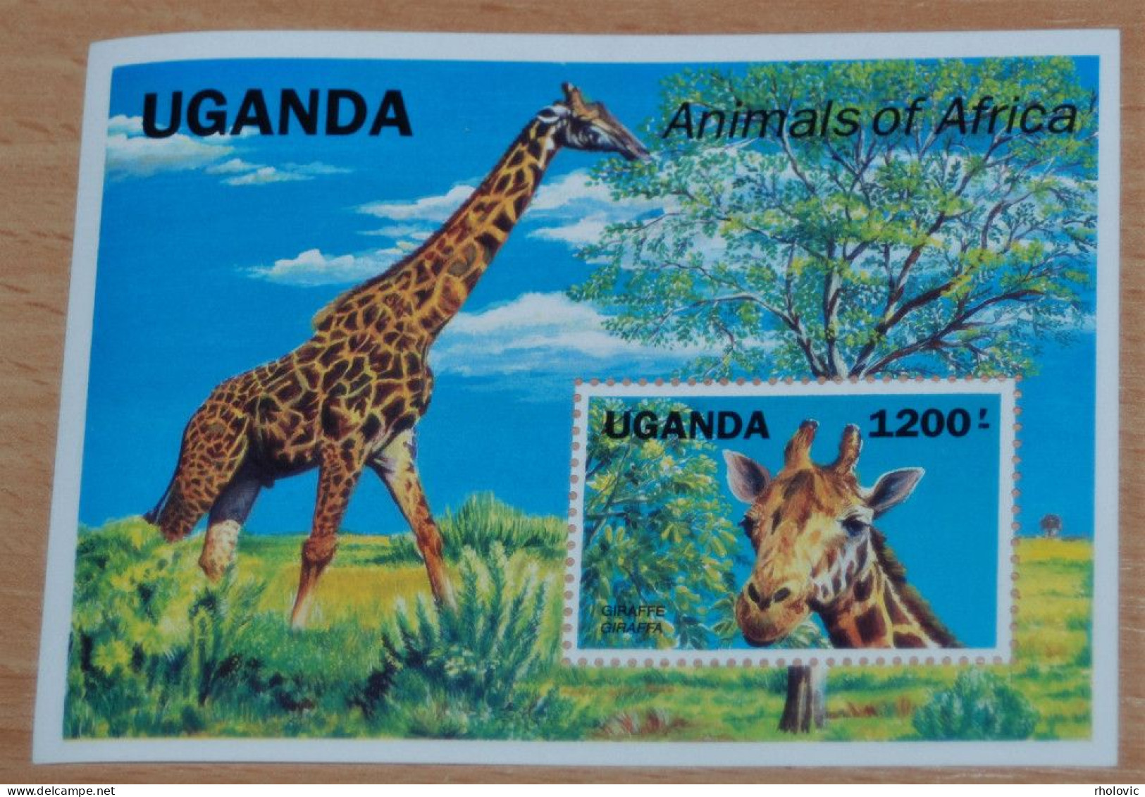 UGANDA 1991, Endangered Animals, Giraffes, Animals, Fauna, Mi #B148, Souvenir Sheet, MNH** - Jirafas