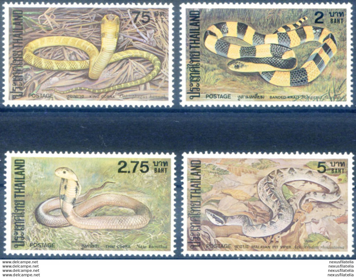 Fauna. Serpenti 1981. - Thaïlande