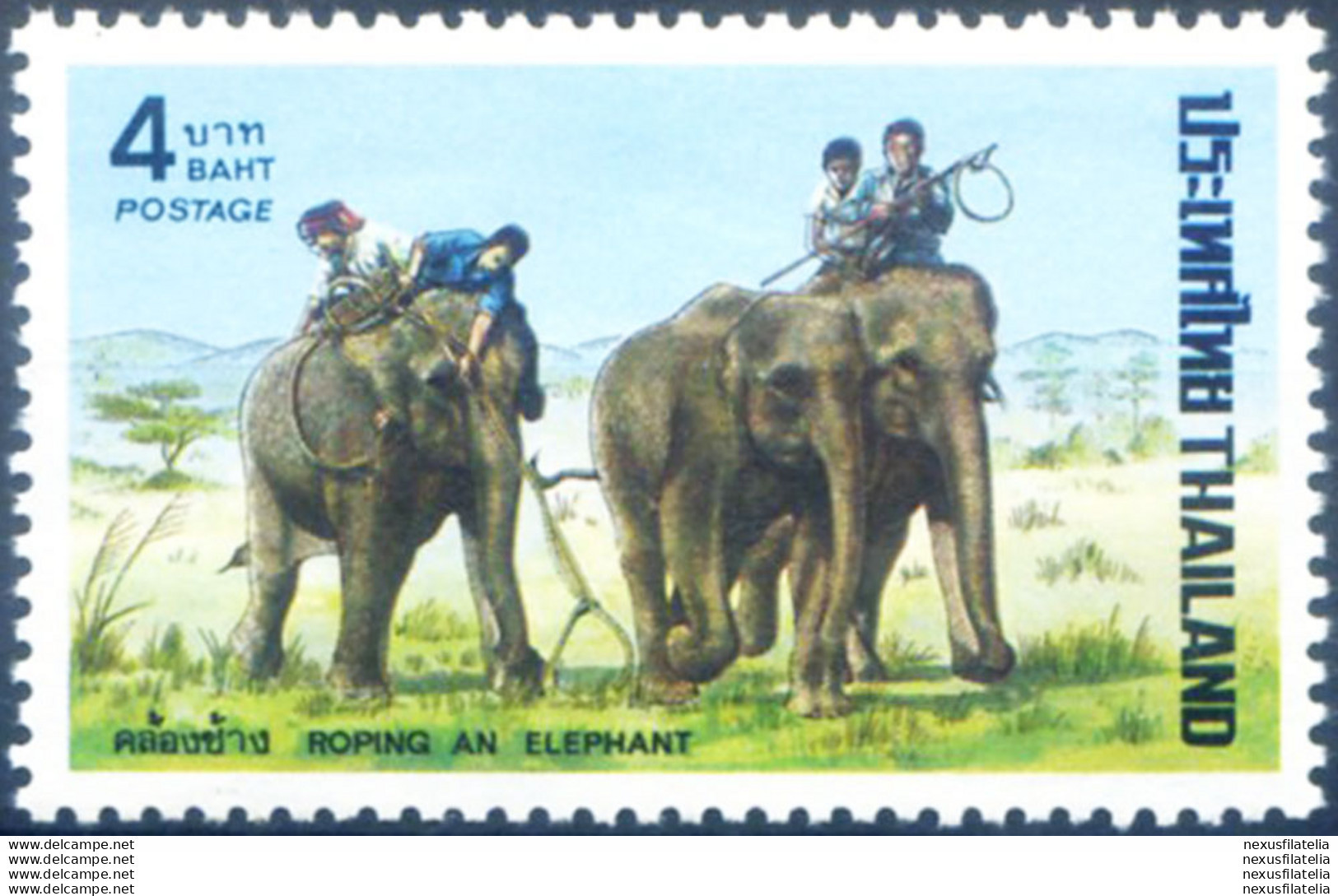 Caccia A Dorso Di Elefante 1974. - Thailand