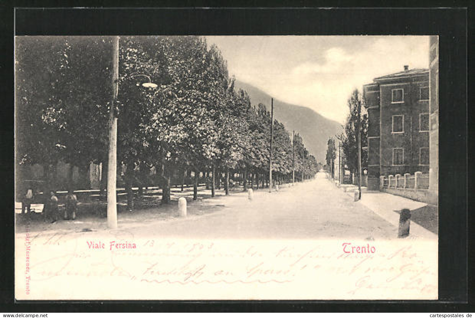 Cartolina Trento, Viale Fersina  - Trento