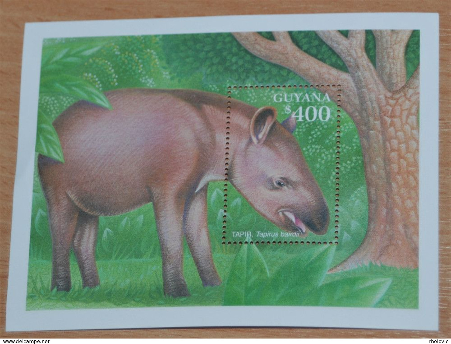 GUYANA 2001, Tropical Rainforest, Tapirus, Animals, Fauna, Souvenir Sheet, MNH** - Otros & Sin Clasificación