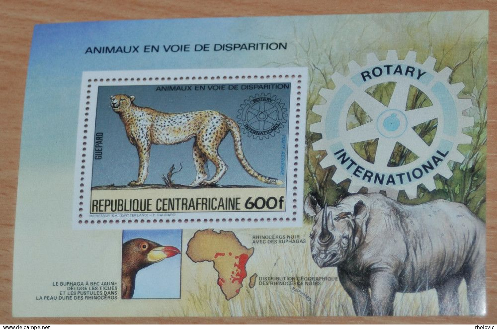 CENTRAFRICAINE 1983, Endangered Animals, Felines, Rhino, Fauna, Mi #B265, Souvenir Sheet, MNH** - Félins